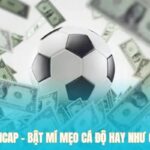 Kèo Handicap – Bật Mí Mẹo Cá Độ Hay Như Chuyên Gia