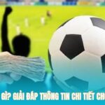 Odds Là Gì? ZT9398 Scan Giải Đáp Thông Tin Chi Tiết Cho Tân Thủ